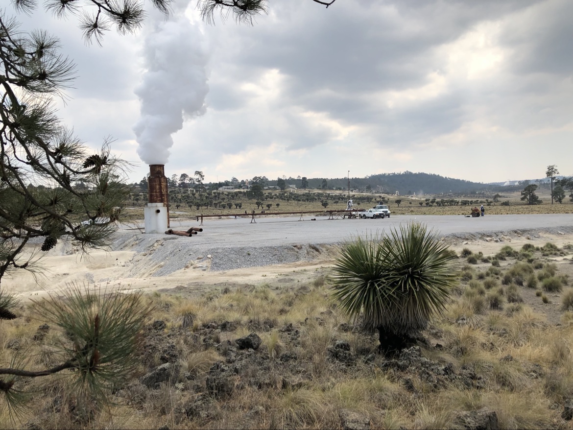 Geothermal field with steam discharge, agaves and pines